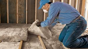 Best Weatherproofing Services  in Anamosa, IA